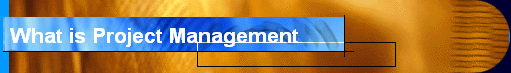 What is Project Management